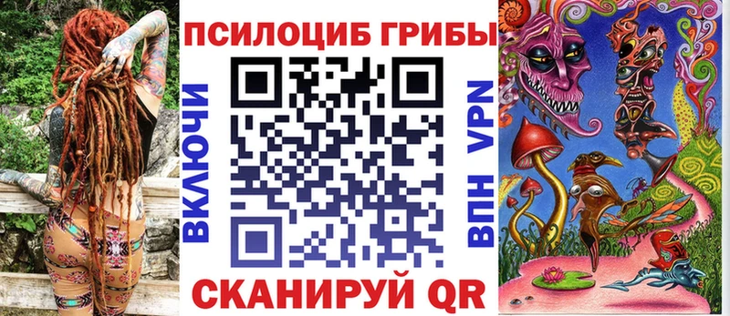 Галлюциногенные грибы Magic Shrooms  Тамбов 